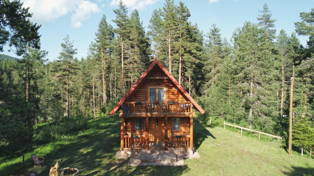 Holiday Home Aster Žabljak Kültér fotó