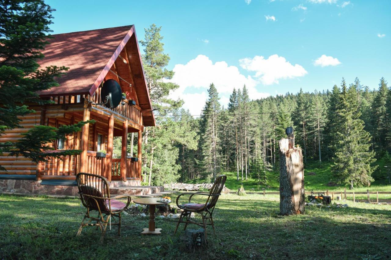 Holiday Home Aster Žabljak Kültér fotó